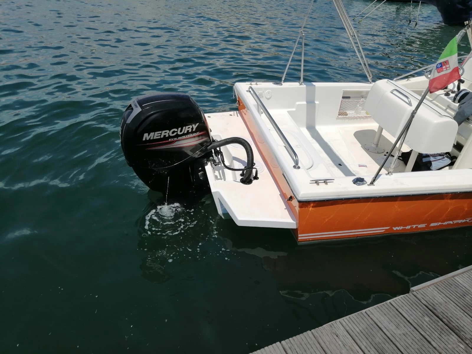 Galleria immagine 11