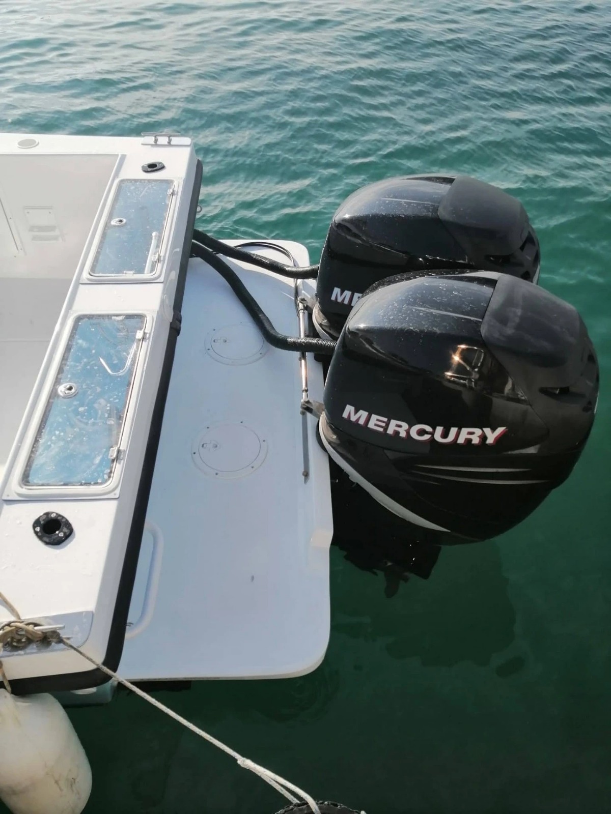 Galleria immagine 13